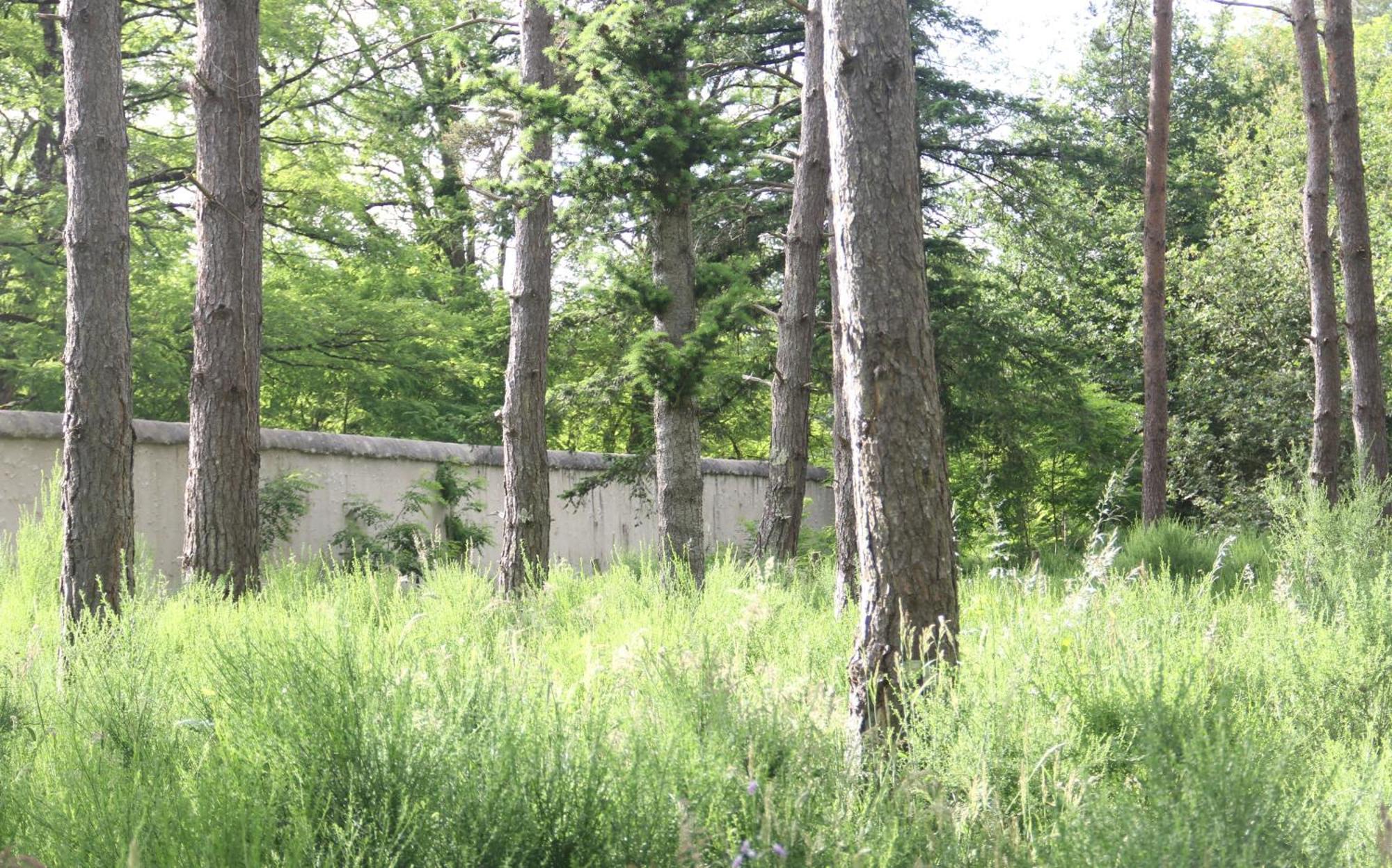 Thoury Le Refuge De Chambord 빌라 외부 사진
